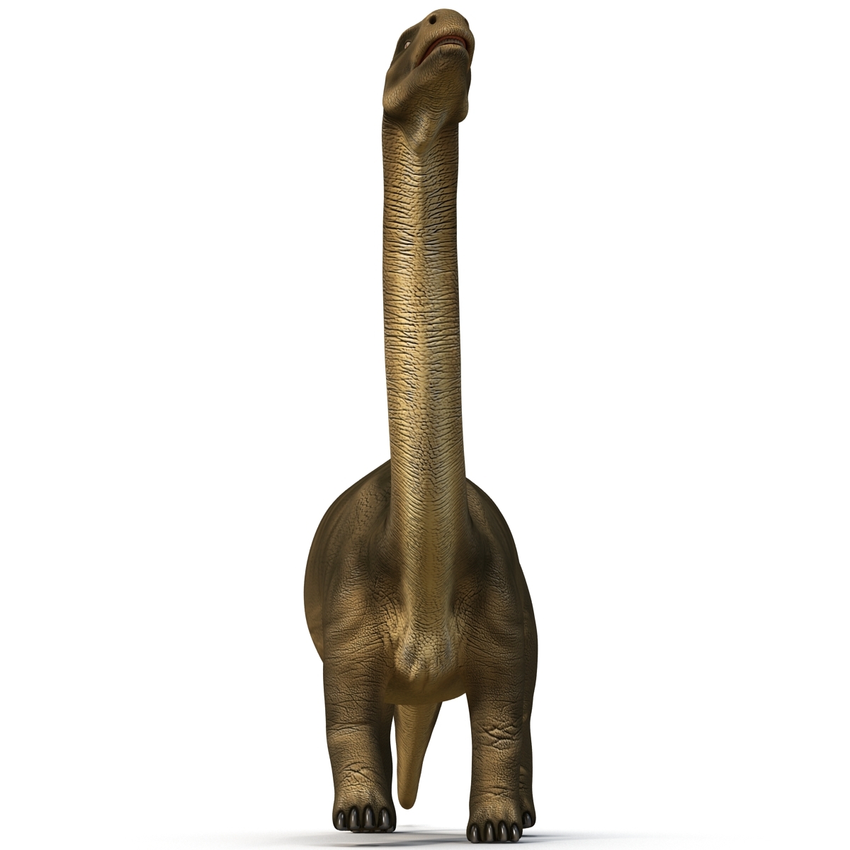 brontosaurus view in 3d