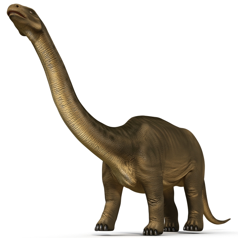 3d brontosaurus