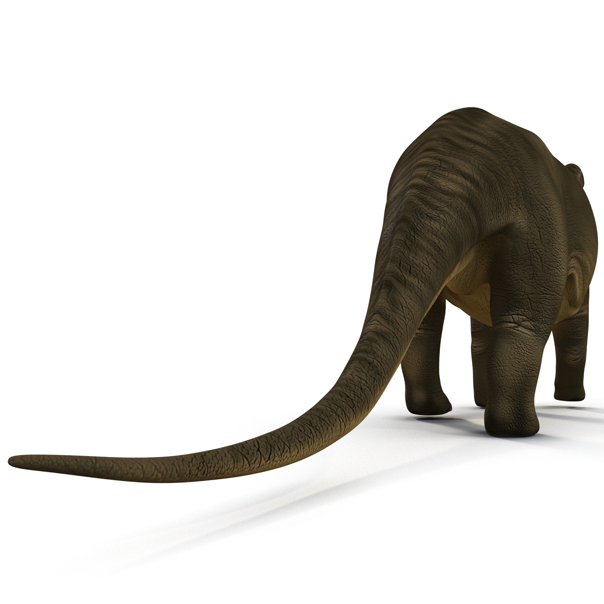 3d brontosaurus