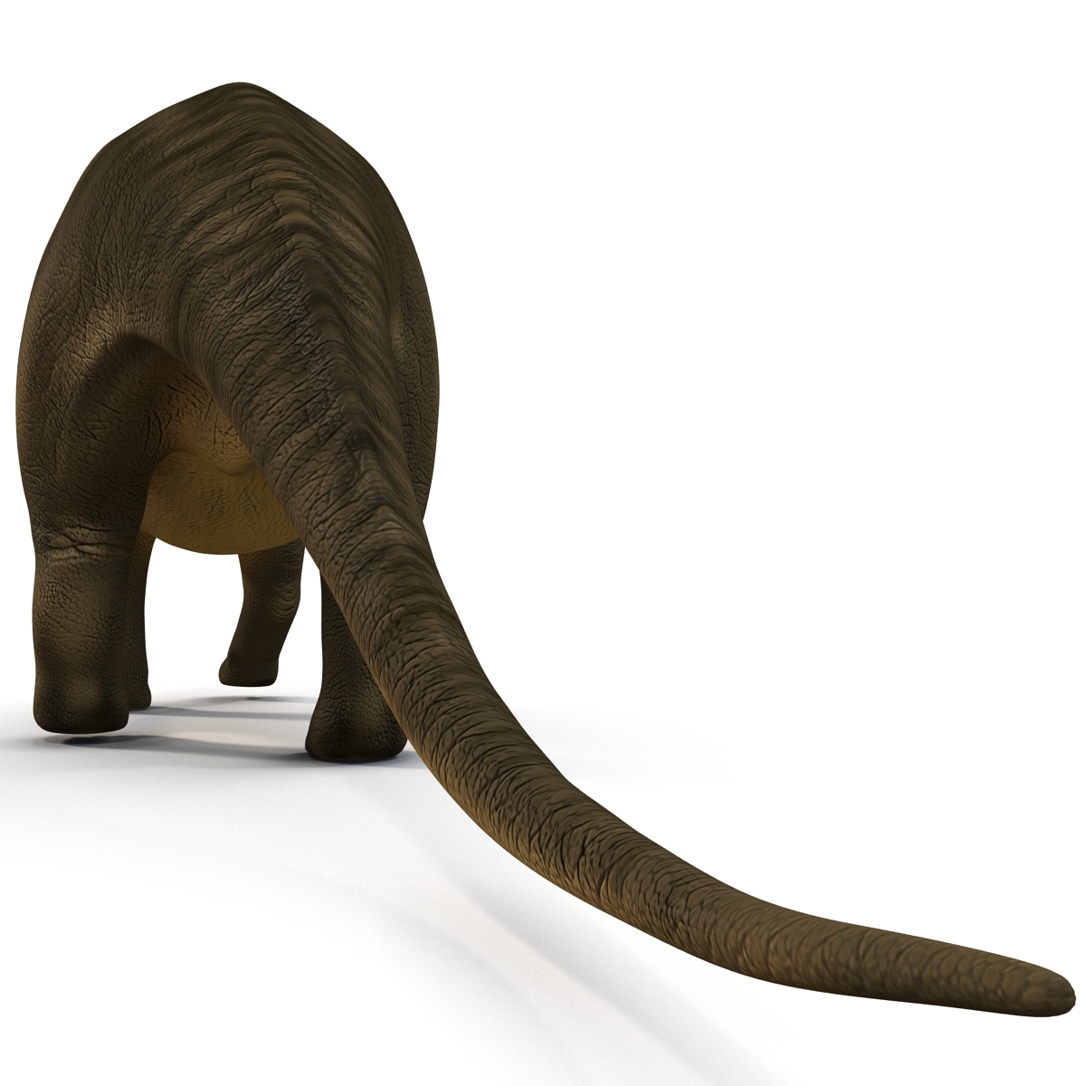 brontosaurus view in 3d