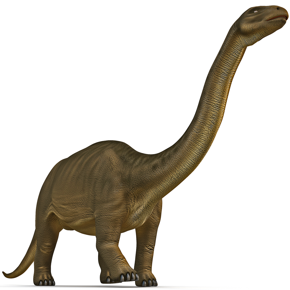 brontosaurus view in 3d