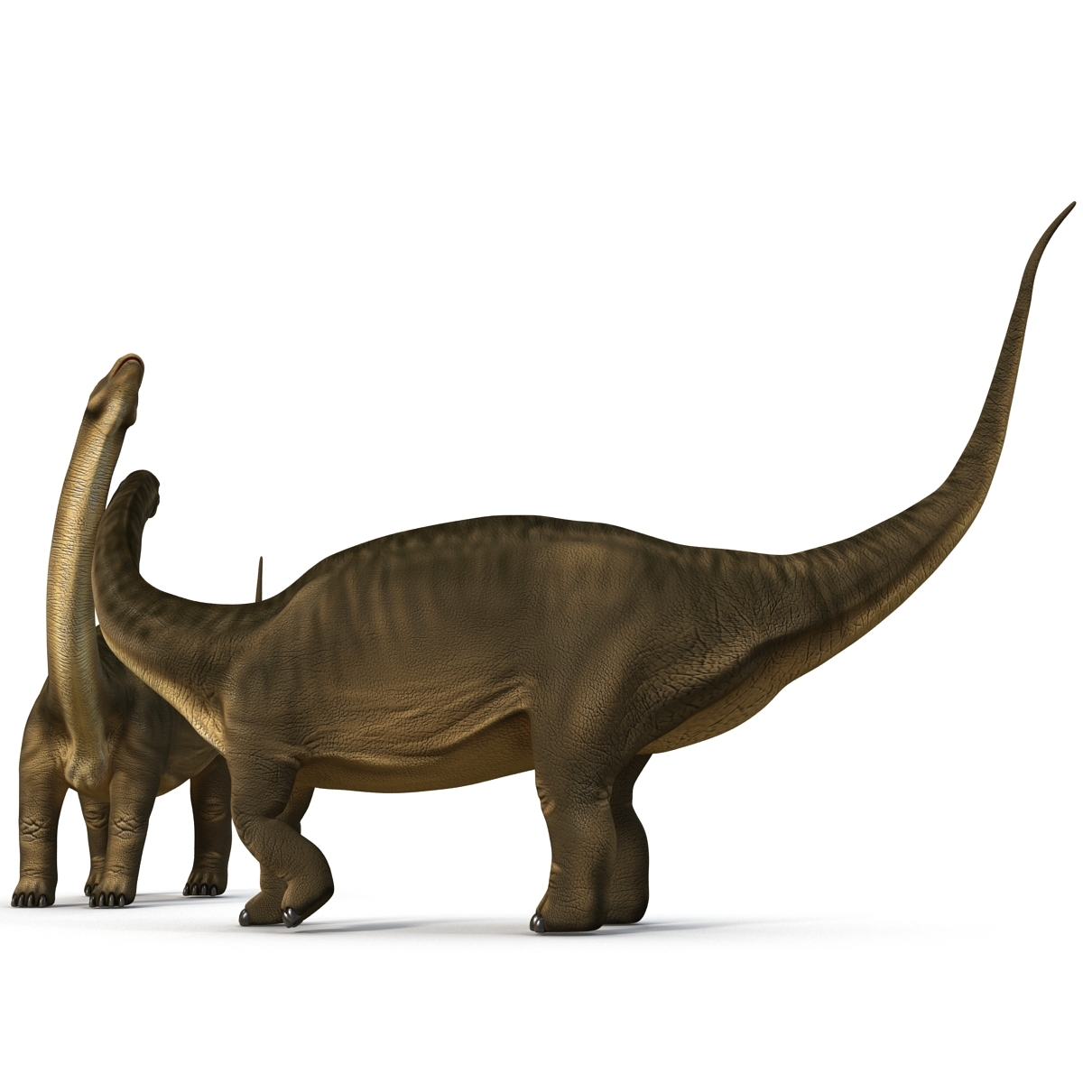 the brontosaurus