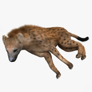 hyena pose 4 fur 3d max