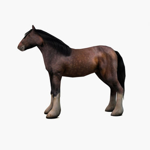 horse games 3d model