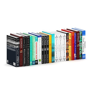 3dsmax softcover guide books