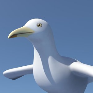 seagull sea gull 3d dxf