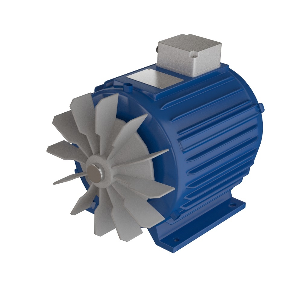 electric motor