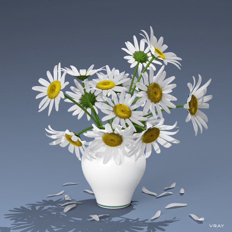 3d model bouquet daisies