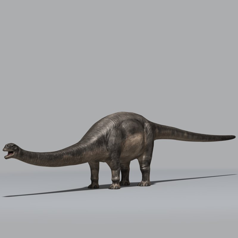 small sauropod