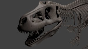 3d tyranosaurus rex model
