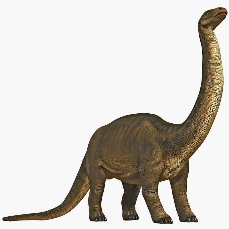 BrontosaurusRigged_1.jpg1f09f9a5-08a6-4b18-9396-3e4e21195311Default.jpg