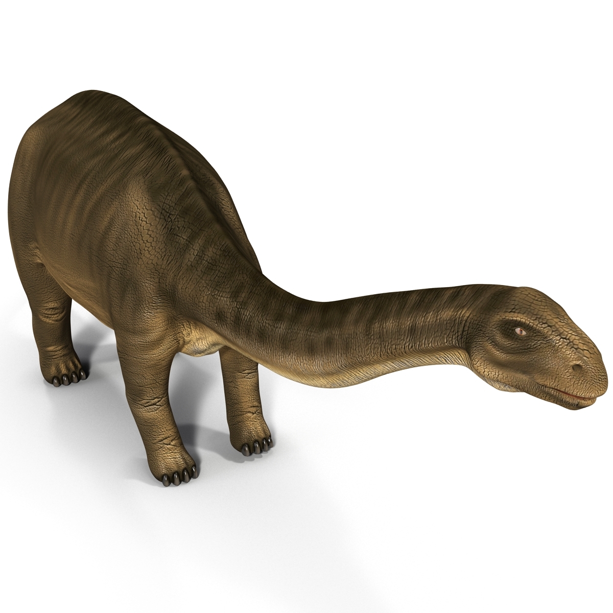 3d brontosaurus