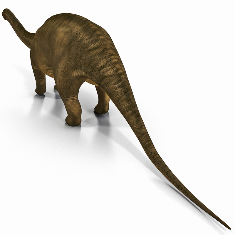 brontosaurus 3d