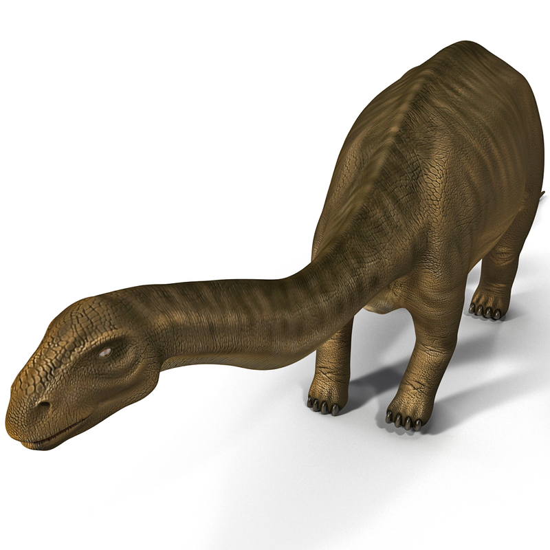 brontosaurus 3d