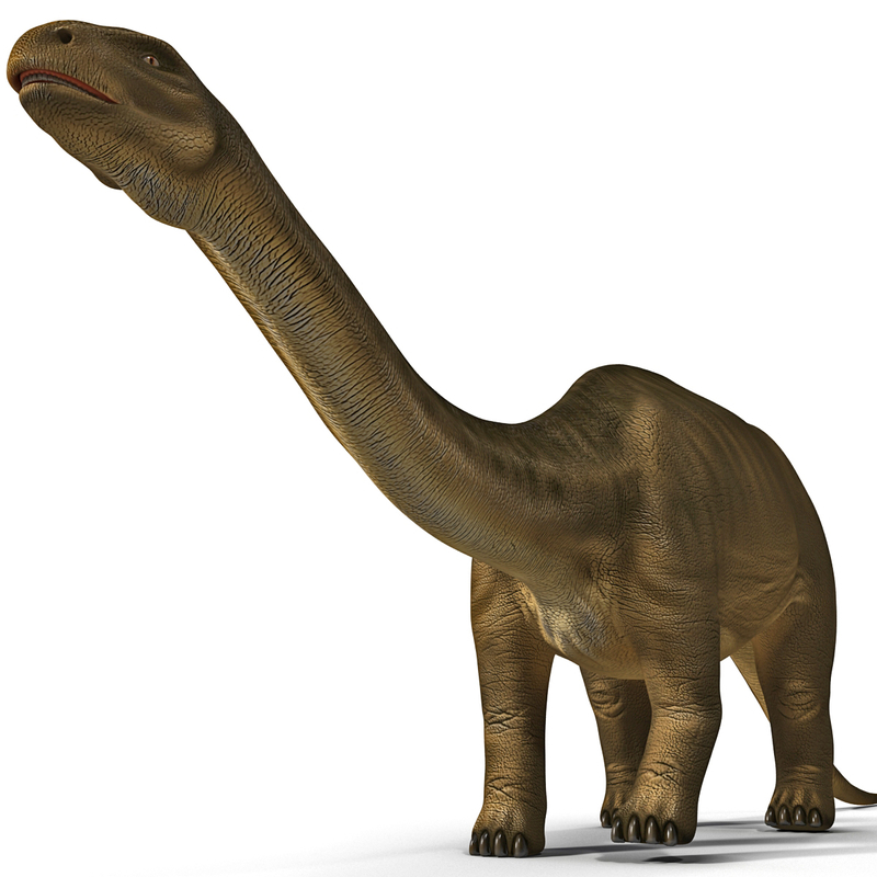 brontosaurus view in 3d