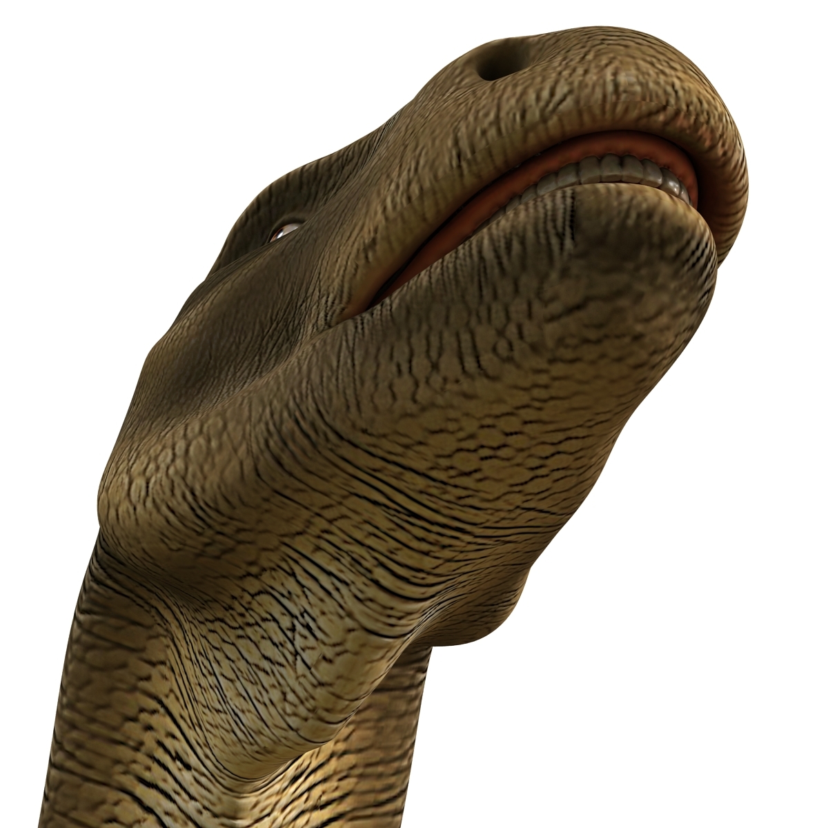 brontosaurus 3d