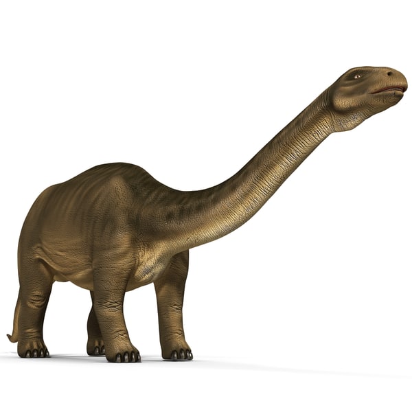 fossil brontosaurus