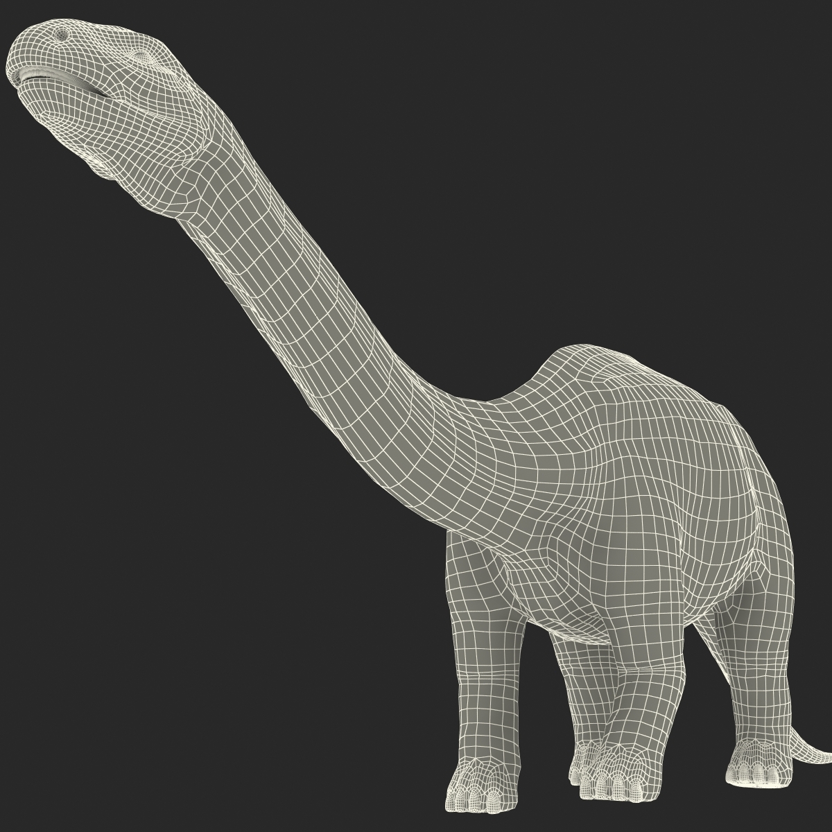 brontosaurus 3d