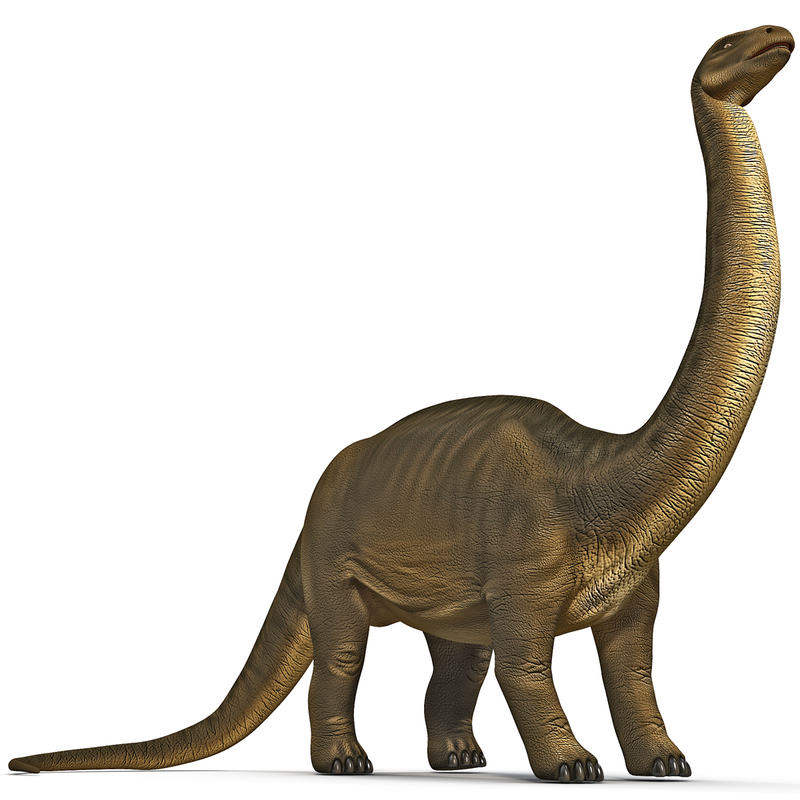 3d brontosaurus