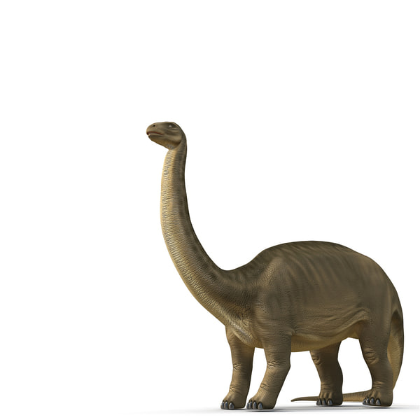 Brontosaurus Rigged 3d Model