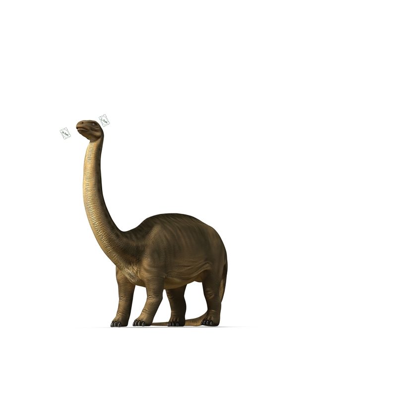 brontosaurus view in 3d