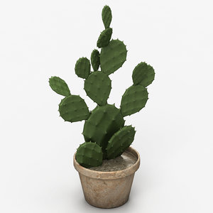 max realistic cactus