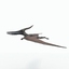 c4d rigged rex pteranodon