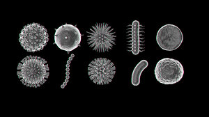 3d micro organisms virusses