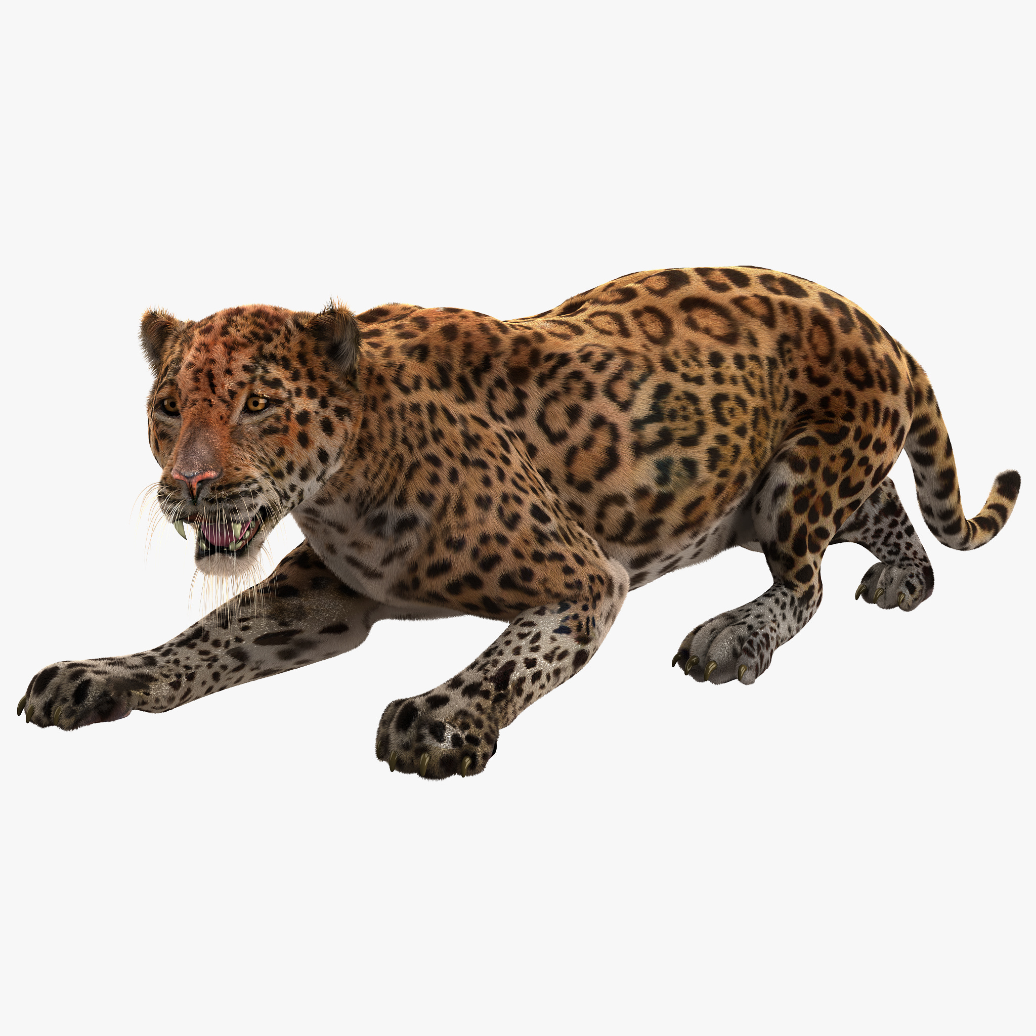  3d  model  pose 3 fur