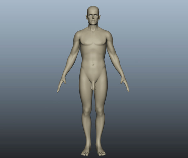 男性の体の裸体3dモデル Turbosquid