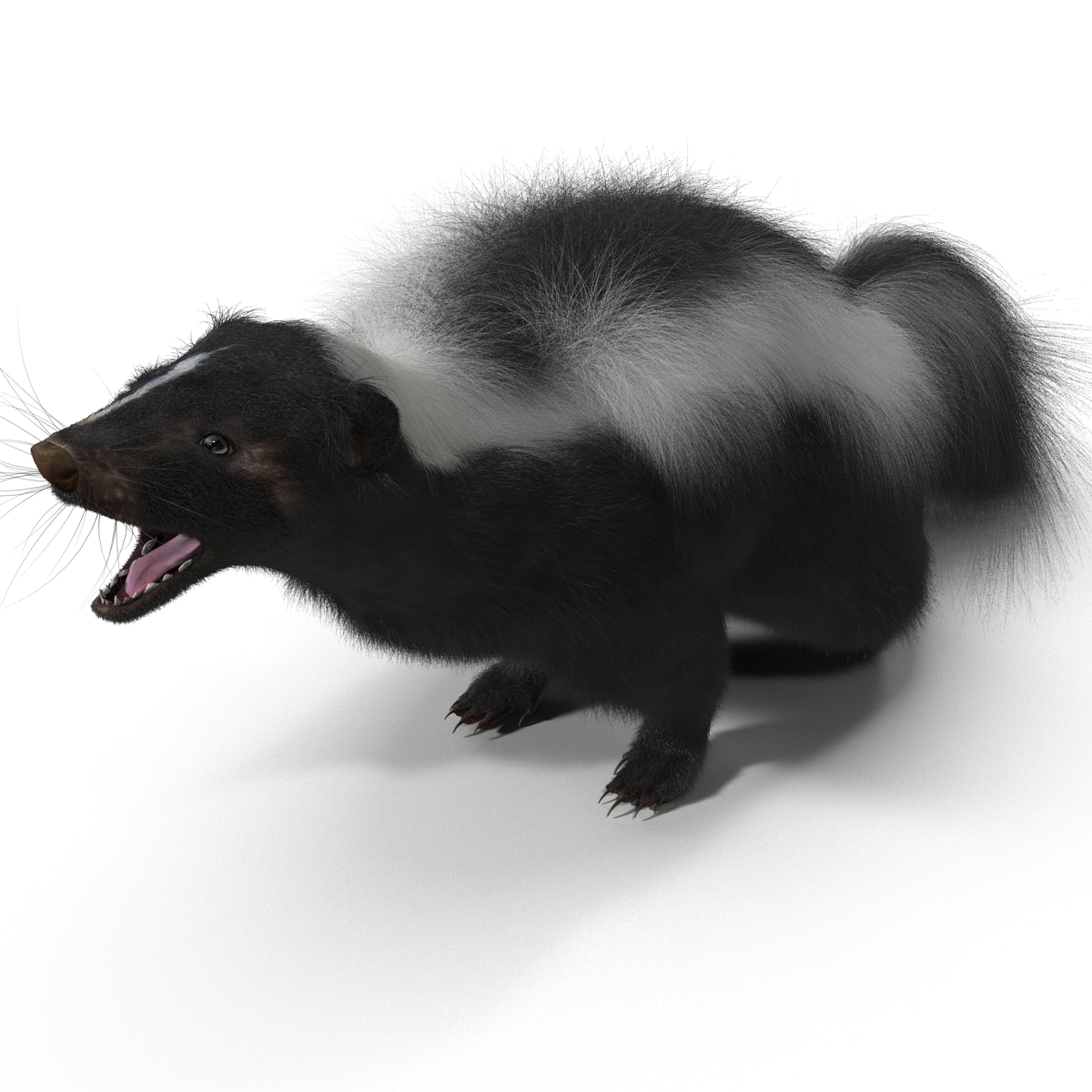 skunk rigged fur 3d max