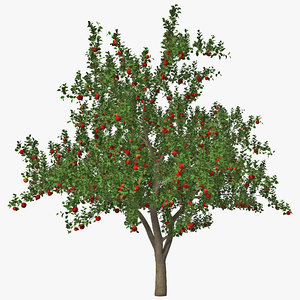3d apple tree model