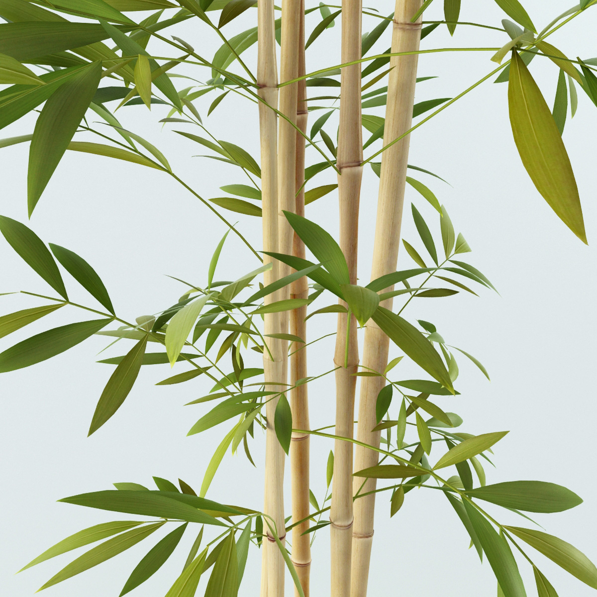 artificial bamboo stick 3d model