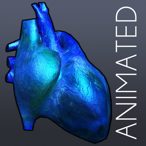 심장 애니메이션 6 질감 3D 모델 - TurboSquid 817832