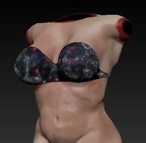 female bust 3ds free