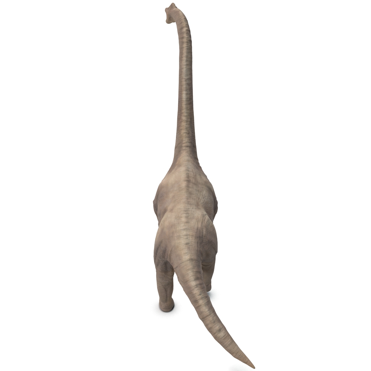 brachiosaurus view in 3d