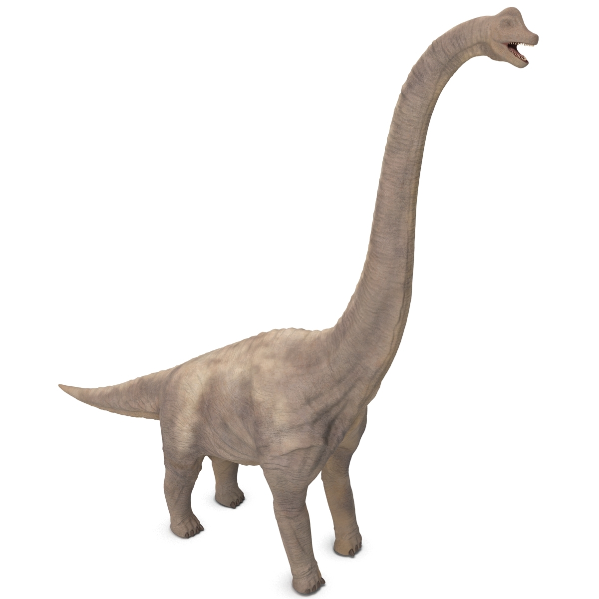 brachiosaurus 3d view