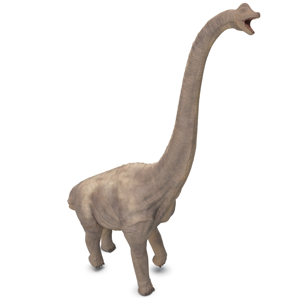 brachiosaurus 3d