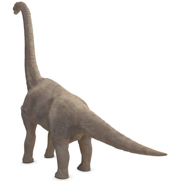 brachiosaurus 3d view