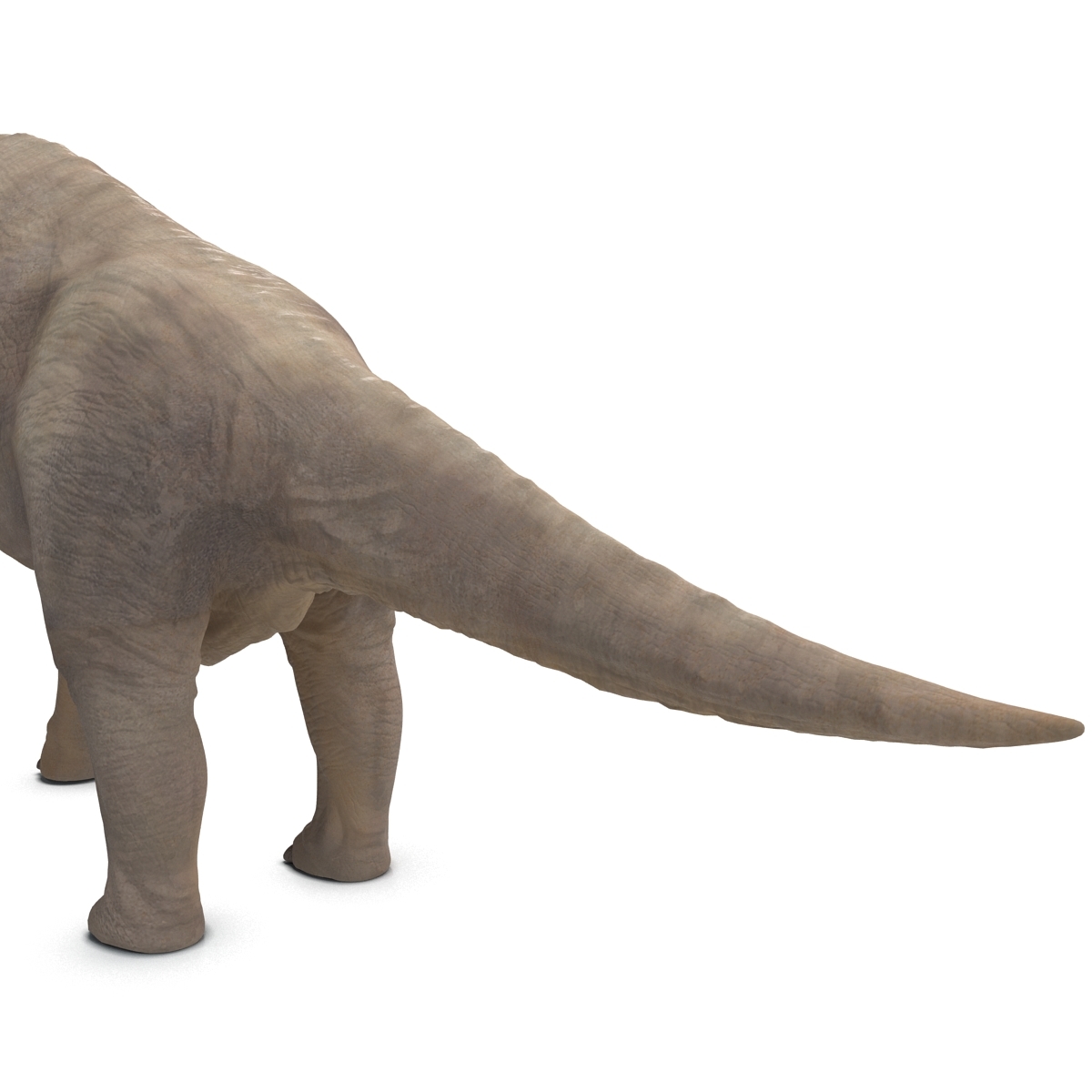 brachiosaurus 3d view