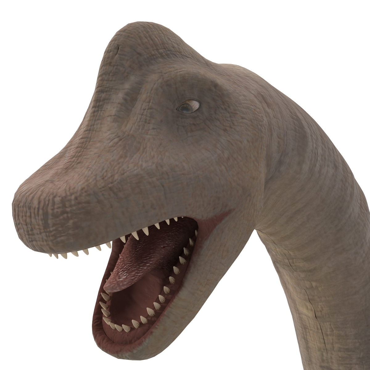 brachiosaurus 3d view