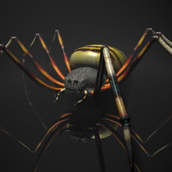 rigged spider 3d max