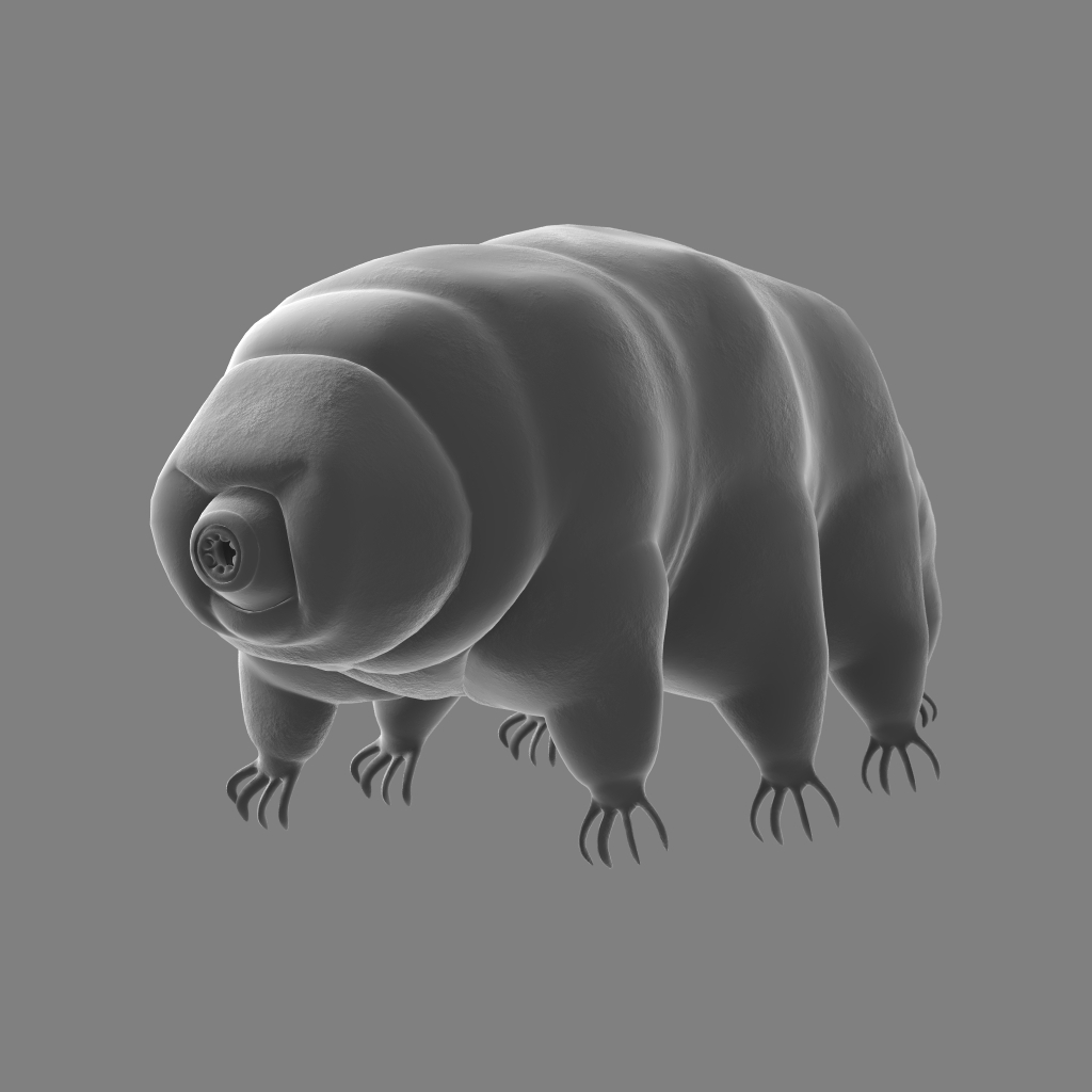 extremophile tardigrade macrobiotus sapiens obj