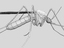 mosquito rigged animate 3d model