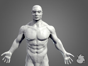sculpt muscular male base mesh 3d obj