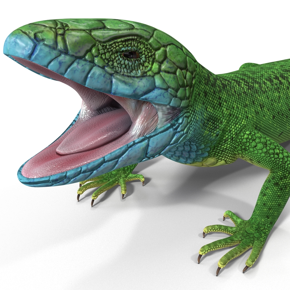 3d-model-european-green-lizard-lacerta