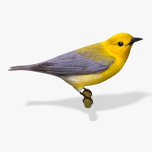3ds prothonotary warbler ab
