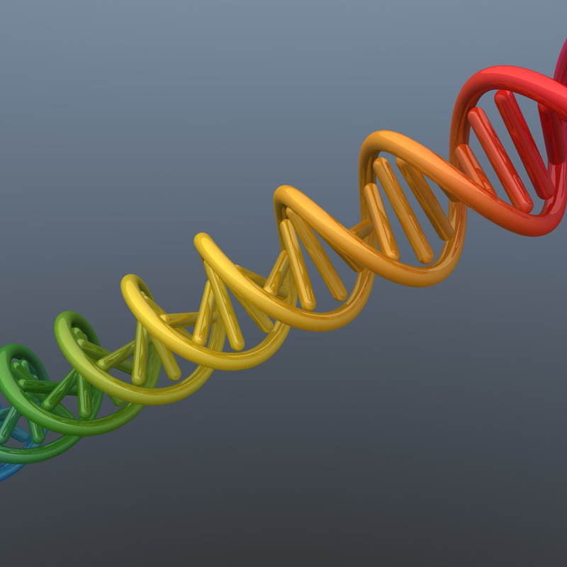 脱氧核糖核酸3d模型