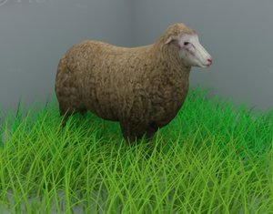 3ds max sheep