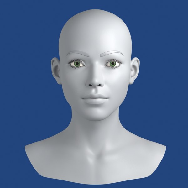 3d face model for drawing